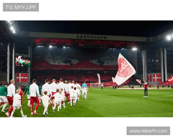 世欧预赛精彩对决丹麦队迎战波兰队争夺晋级机会