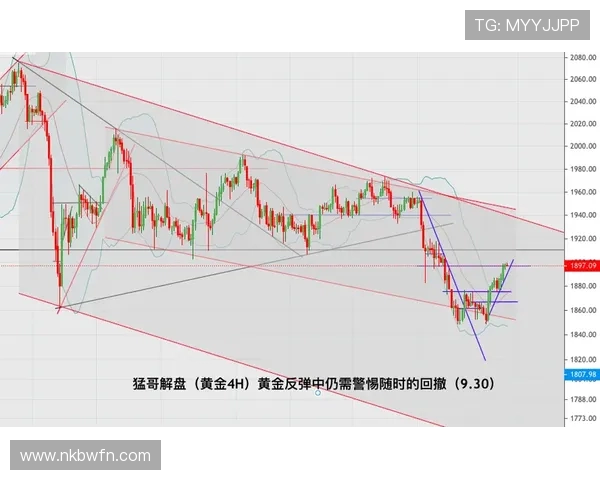 墨西哥对阵瑞典的欧盘亚盘分析与投注策略探讨