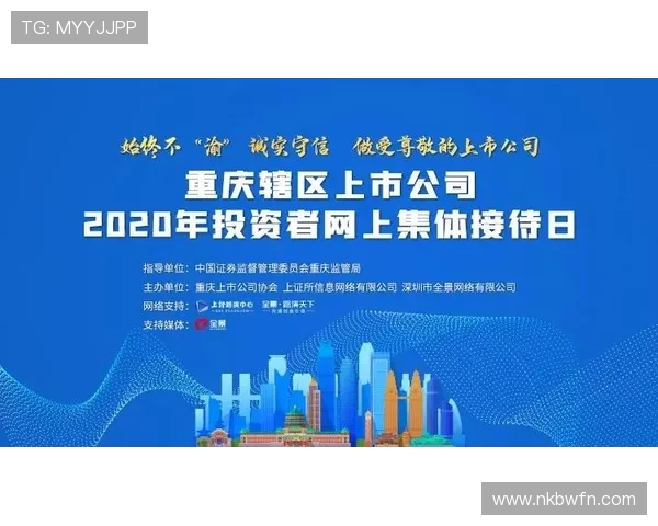 重庆飞盘队默契配合探讨与团队精神的深度解析