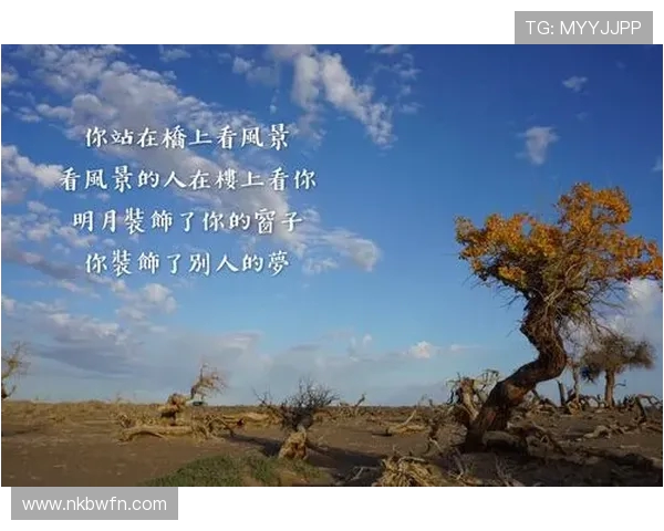 李强回顾攀岩之路：从初学者到顶尖高手的心路历程与成长故事