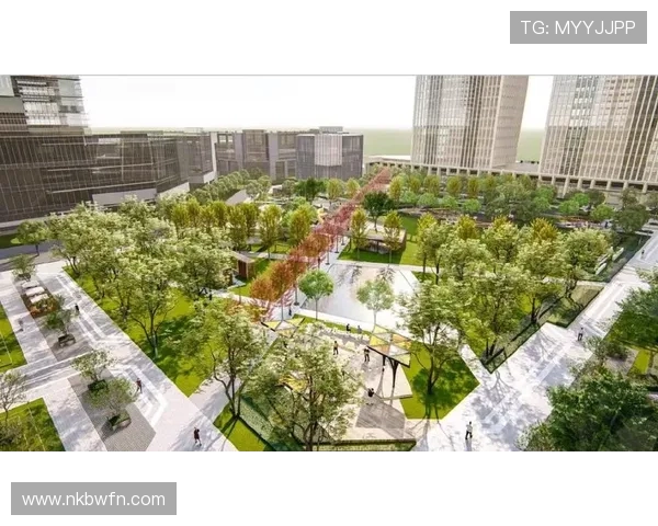 探索杭州极限运动队的运营模式与发展潜力深度解析